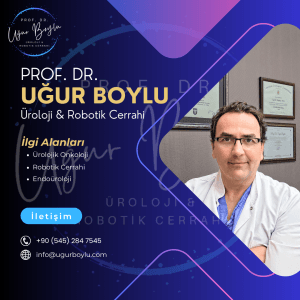 Prof. Dr. Uğur Boylu