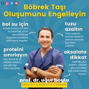 böbrek taşı oluşumunu engelleyin
